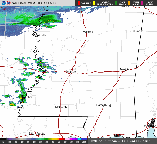 Severe Thunderstorms in the South