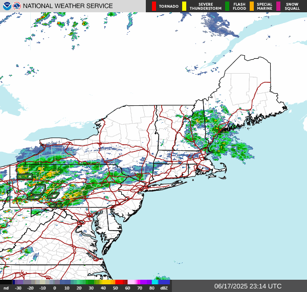 NORTHEAST_loop.gif?refreshed=17312598904
