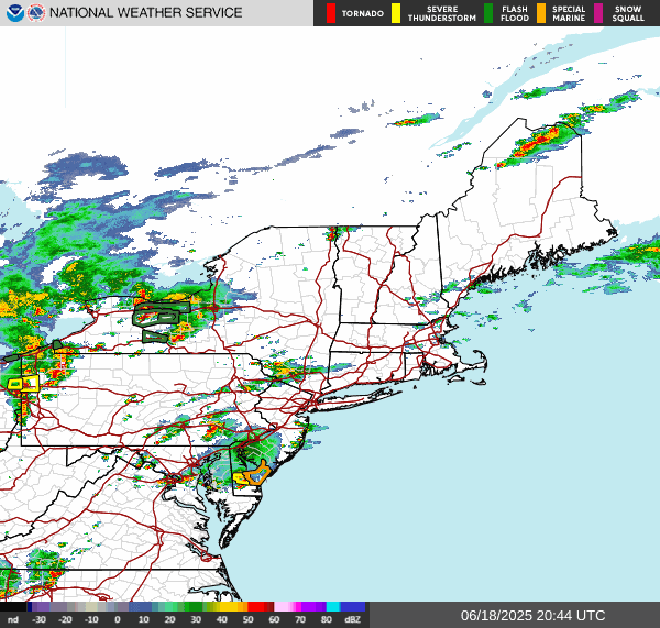 NORTHEAST_loop.gif?refreshed=17337574905